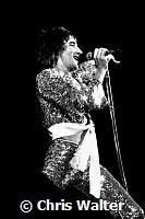 The Faces 1972 Rod Stewart 