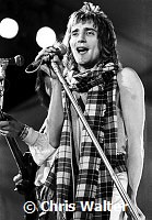 The Faces 1973 Rod Stewart at Reading<br> Chris Walter<br>