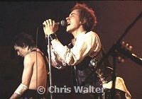 Sex Pistols 1978<br> Chris Walter<br>