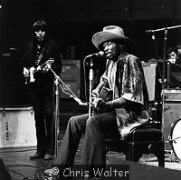 Photo of Taj Mahal 1970 at Sound Of The Seventies at Royal Albert Hall<br> Chris Walter<br>