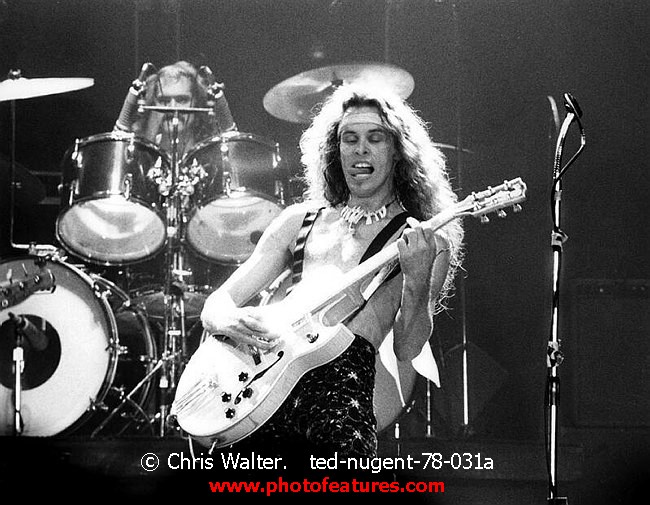 Photo of Ted Nugent for media use , reference; ted-nugent-78-031a,www.photofeatures.com