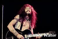 Ted Nugent 1976<br> Chris Walter<br>