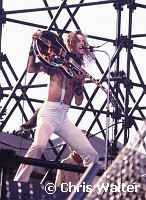 Ted Nugent 1978 California Jam<br> Chris Walter<br>