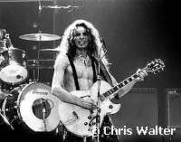 Ted Nugent 1978
