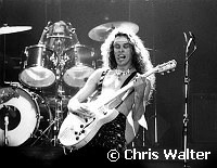 Ted Nugent 1978