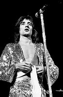 The Faces 1972 Rod Stewart<br> Chris Walter<br>