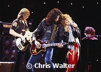 The Rockets 1980 on Midnight Special<br> Chris Walter
