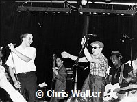 The Specials 1980<br> Chris Walter<br>