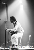 The Who 1971 Pete Townshend<br> Chris Walter<br>