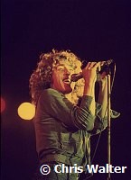 The WHO  Roger Daltrey