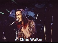 Todd Rundgren 1974<br> Chris Walter<br>