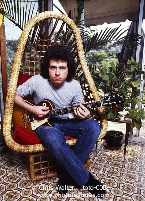 Photo of Toto for media use , reference; toto-008a,www.photofeatures.com