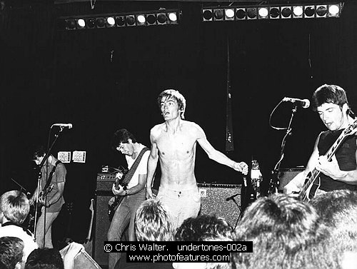 Photo of Undertones by Chris Walter , reference; undertones-002a,www.photofeatures.com