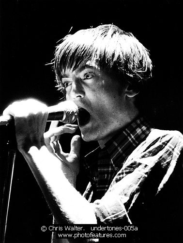 Photo of Undertones by Chris Walter , reference; undertones-005a,www.photofeatures.com