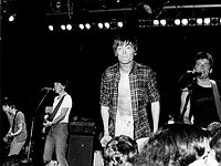 Photo of Undertones 1980<br> Chris Walter