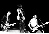 Photo of Undertones 1981<br> Photofeatures<br>