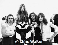 Van Halen 1978 Michael Anthony, David Lee Roth, Alex Van Halen and Eddie Van Halen<br>© Chris Walter<br>