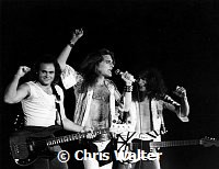 Van Halen 1978 Michael Anthony David Lee Roth and Eddie Van Halen