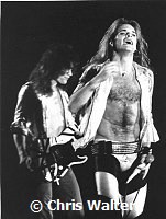 Van Halen 1978 David Lee Roth & Eddie Van Halen<br><br>