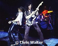 Van Halen 1978  David Lee Roth and Eddie Van Halen<br>© Chris Walter<br>
