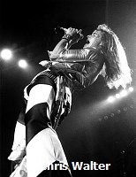 Van Halen 1978 Dave Lee Roth