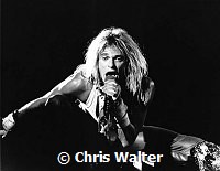 Van Halen 1983 David Lee Roth<br>© Chris Walter<br>