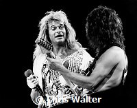 Van Halen 1983 David Lee Roth and Eddie Van Halen US Festival