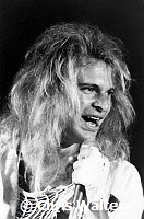 Van Halen 1983 David Lee Roth US Festival