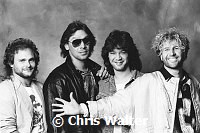 Van Halen 1985 Michael Anthony, Alex Van Halen, Eddie Van Halen and Sammy Hagar<br>© Chris Walter<br>