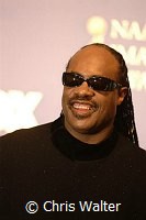Stevie Wonder