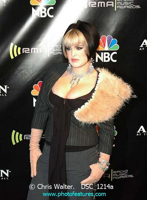 Photo of 2004 Radio Music Awards for media use , reference; DSC_1214a,www.photofeatures.com