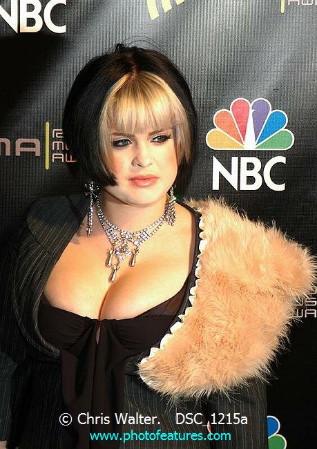 Photo of 2004 Radio Music Awards for media use , reference; DSC_1215a,www.photofeatures.com