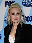 Photo of Cyndi Lauper at the 2009 American Idol Finale at the Nokia Theatre in Los Angeles, May 20th 2009.<br>Photo by Chris Walter/Photofeatures