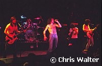 AC/DC 1977 at the Whisky A Go Go<br> Chris Walter<br>