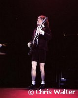 AC/DC 1983 Angus Young<br> Chris Walter<br>