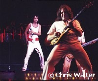 Alice Cooper 1977 with Dick Wagner<br> Chris Walter<br>