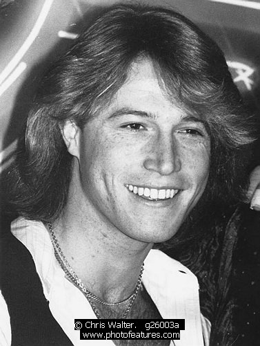Photo of Andy Gibb by Chris Walter , reference; g26003a,www.photofeatures.com