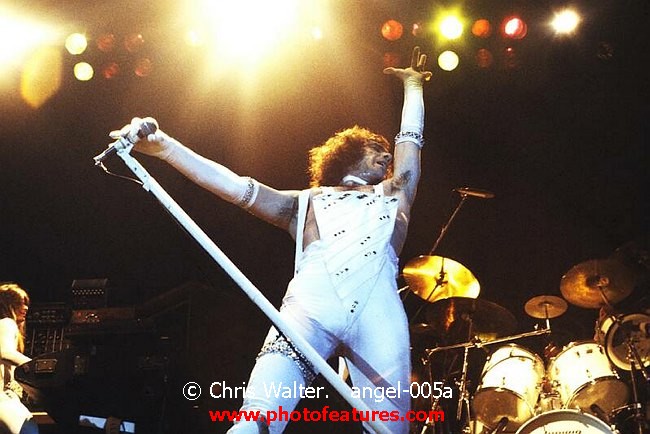 Photo of Angel for media use , reference; angel-005a,www.photofeatures.com