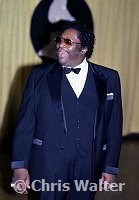 B.B. King 1985 Grammy Awards<br> Chris Walter<br>