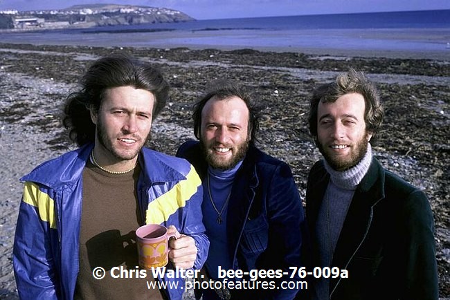 Photo of Bee Gees for media use , reference; bee-gees-76-009a,www.photofeatures.com