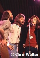 Bee Gees 1979 Maurice Gibb, Barry Gibb and Robin Gibb at Unicef concert at UN 
