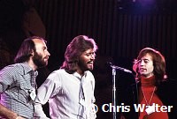 Bee Gees 1979 Maurice Gibb, Barry Gibb, Robin Gibb at Unicef Concert at the UN