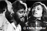 Bee Gees 1979 Maurice Gibb, Barry Gibb and Robin Gibb at UNICEF concert at the UN