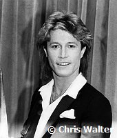 Andy Gibb 1980 American Music Awards