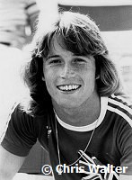 Andy Gibb 1977 
