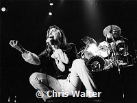 Black Oak  1977 Jim Dandy<br> Chris Walter<br>