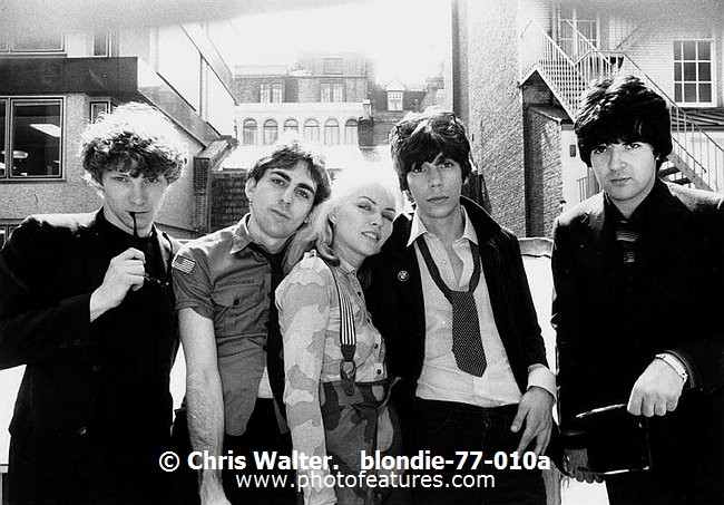 Photo of Blondie for media use , reference; blondie-77-010a,www.photofeatures.com