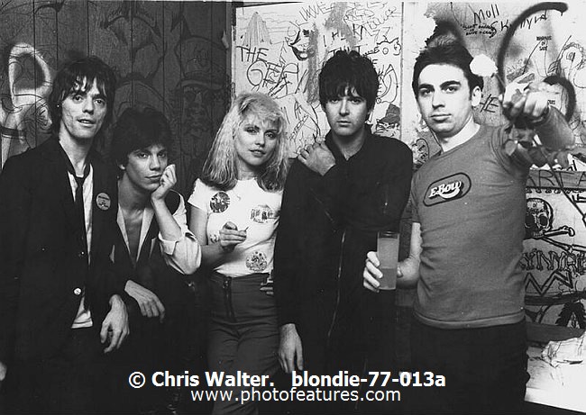 Photo of Blondie for media use , reference; blondie-77-013a,www.photofeatures.com