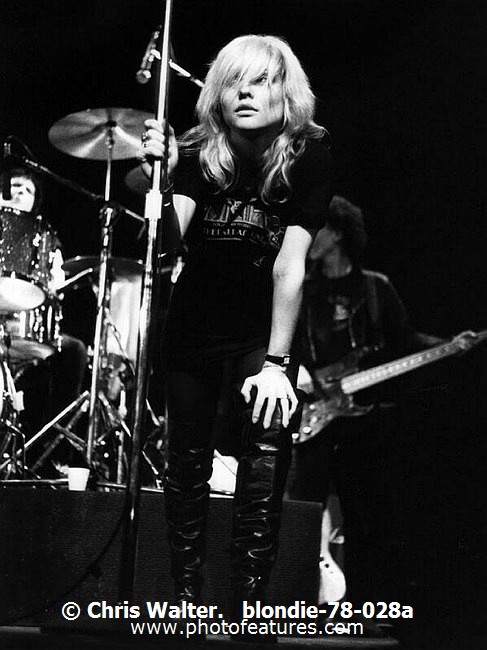 Photo of Blondie for media use , reference; blondie-78-028a,www.photofeatures.com