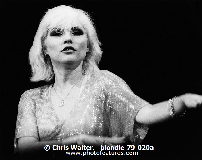Photo of Blondie for media use , reference; blondie-79-020a,www.photofeatures.com